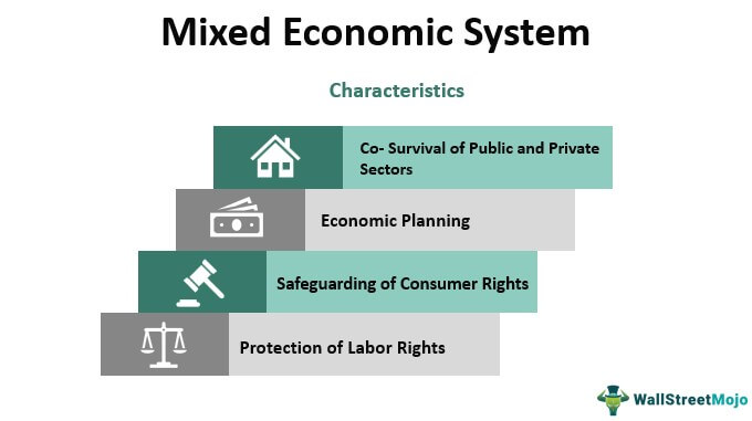 Mixed Economic System