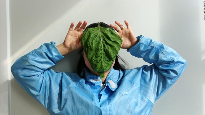 220705171824-01-farm66-aquaponics-super-tease.jpg