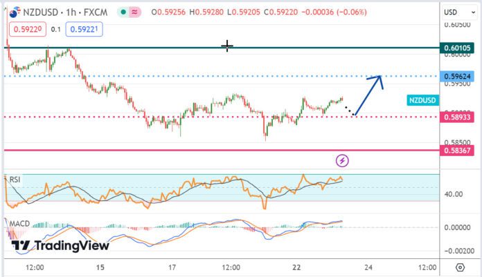 วิเคราะห์คู่เงิน NZDUSD ประจำวันที่ 23 เมษายน 2567