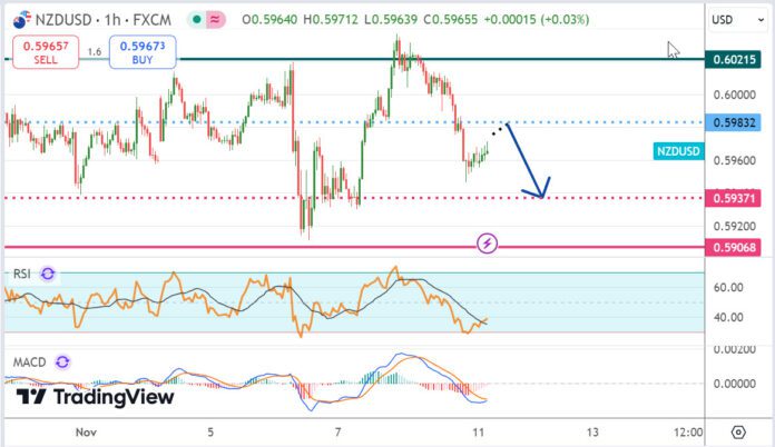วิเคราะห์คู่เงิน NZDUSD ประจำวันที่ 11 พฤศจิกายน 2567