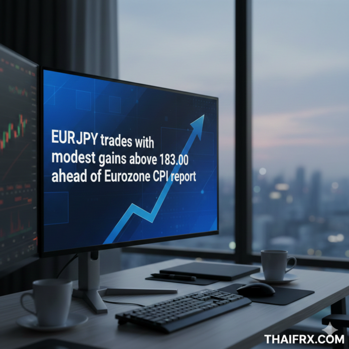 EUR/JPY ขยับบวกเหนือ 183.00 จับตาตัวเลขเงินเฟ้อยูโรโซนวันนี้
