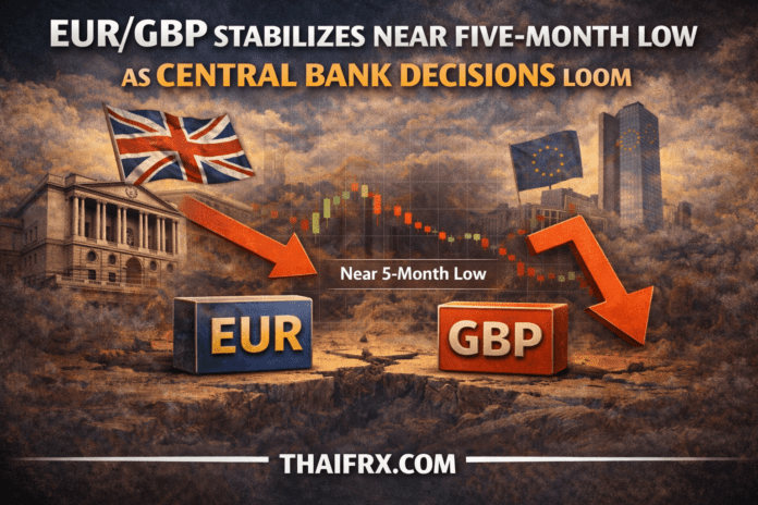 EUR/GBP ทรงตัว (Stabilize) หลังจากปรับตัวลดลงอย่างต่อเนื่องจนลงมาแตะระดับต่ำสุดในรอบ 5 เดือนทรงตัว (Stabilize) หลังจากปรับตัวลดลงอย่างต่อเนื่องจนลงมาแตะระดับต่ำสุดในรอบ 5 เดือน