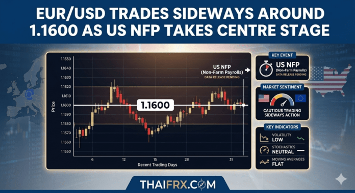EUR/USD เคลื่อนไหว 1.1600 - 1.1620 Wait-and-See: แนะนำให้นักเทรดรอดูตัวเลขจริงของ NFP ก่อนตัดสินใจ