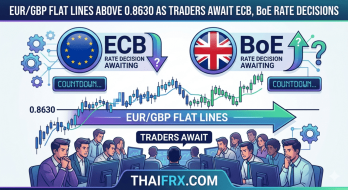EUR/GBP เคลื่อนไหวในกรอบแคบเหนือ 0.8630! ตลาด 