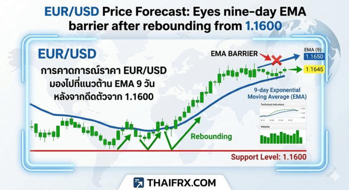 EUR/USD พยายามดีดตัวขึ้นจากระดับแนวรับสำคัญที่ 1.1600