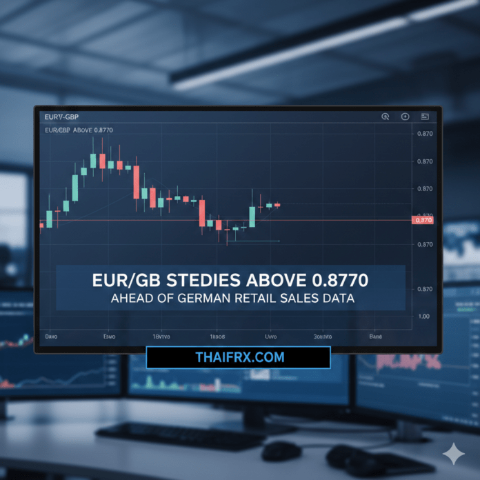 EUR/GBP เคลื่อนไหวค่อนข้างนิ่งและพยายามรักษาระดับอยู่เหนือแนวรับสำคัญที่ 0.8770