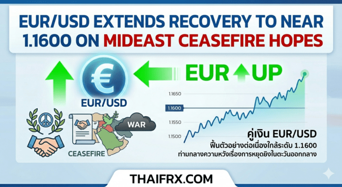 EUR/USD พุ่งแตะ 1.1600! ยูโรฟื้นตัวแรงรับความหวัง 