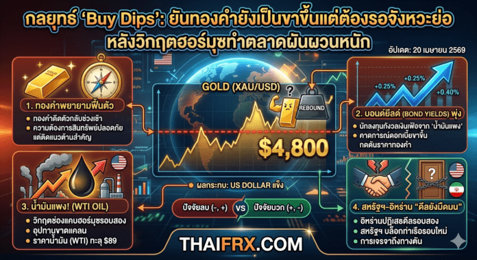 กลยุทธ์ 