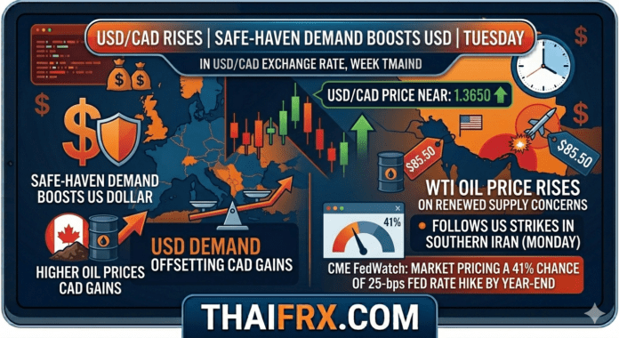 WTI ทรงตัวในแดนบวก: แต่ทำไมดอลลาร์แคนาดา (CAD) ถึงยังดิ่งลง?